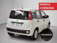 Usata Fiat Panda Easy 69 CV (50 kW) 2017 Bianco Utilitaria