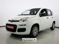 Usata Fiat Panda S 69 CV (50 kW) 2024 Bianco gelato Utilitaria