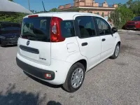 Nuova Fiat Panda Icon 69 CV (50 kW) 2025 Bianco Utilitaria