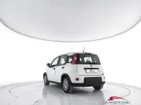 Usata Fiat Panda S 69 CV (50 kW) 2023 Bianco Utilitaria