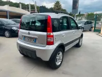 Usata Fiat Panda 4x4 69 CV (50 kW) 2007 Grigio Utilitaria