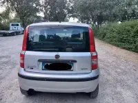 Usata Fiat Panda 60 CV (44 kW) 2008 Grigio Utilitaria