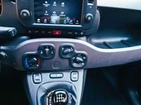 Usata Fiat Panda Sport 69 CV (50 kW) 2021 Utilitaria