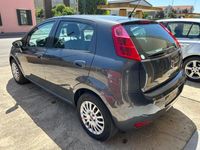 Usata Fiat Punto Young 69 CV (50 kW) 2017 Grigio Utilitaria