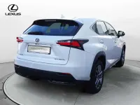 Usata Lexus NX300h Executive Line 197 CV (144 kW) 2017 Bianco SUV