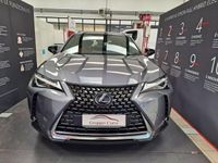 usata Lexus UX Hybrid Premium