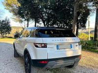 Usata Land Rover Range Rover evoque 150 CV (110 kW) 2014 Bianco SUV