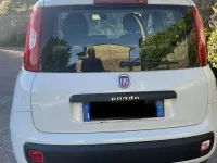 Usata Fiat Panda Lounge 69 CV (50 kW) 2016 Utilitaria