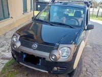 Usata Fiat Panda 4x4 Cross 69 CV (50 kW) 2006 Verde Utilitaria