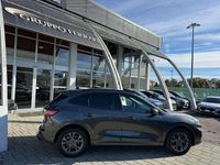 Usata Ford Kuga ST-Line 120 CV (88 kW) 2024 Blu/azzurro SUV