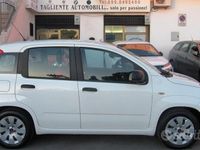 usata Fiat Panda 1.2 benzina e Gpl - 2017 Neopatentati