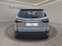 Usata Ford Ecosport Active 125 CV (91 kW) 2022 Grigio SUV