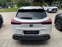 usata Lexus UX Hybrid 4WD Luxury