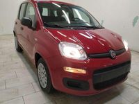 Nuova Fiat Panda Icon 69 CV (50 kW) 2025 Rosso Berlina