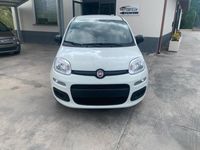 usata Fiat Panda 1.0 FireFly S&S Hybrid Easy