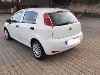 Usata Fiat Punto 95 CV (69 kW) 2017 Utilitaria
