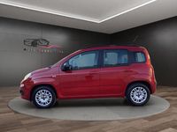 Usata Fiat Panda Pop 75 CV (55 kW) 2013 Rosso Utilitaria