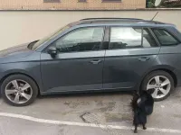 Usata Skoda Fabia Design Edition 75 CV (55 kW) 2019 Argento Utilitaria