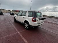 Usata Land Rover Freelander 2 2010 Bianco SUV