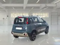 Usata Fiat Panda Cross Cross 85 CV (62 kW) 2021 Utilitaria