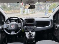 Usata Fiat Panda City Life 69 CV (50 kW) 2023 Utilitaria