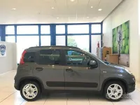 Usata Fiat Panda S 70 CV (51 kW) 2023 Grigio Utilitaria