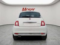Usata Fiat 500 Dolcevita 69 CV (50 kW) 2024 Bianco Utilitaria