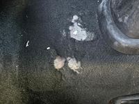 Usata Fiat Punto 75 CV (55 kW) 2013 Bianco Utilitaria