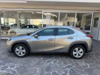 Usata Lexus UX Business Edition 145 CV (106 kW) 2021 Sonic titanium SUV