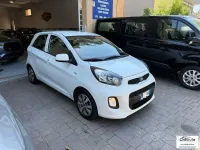 Usata Kia Picanto City 66 CV (48 kW) 2016 Bianco Utilitaria