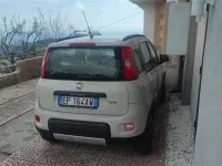 Usata Fiat Panda 4x4 86 CV (63 kW) 2013 Utilitaria