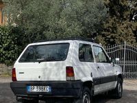 Usata Fiat Panda 4x4 Trekking 54 CV (39 kW) 2001 Bianco Utilitaria