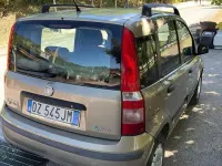Usata Fiat Panda Dynamic 60 CV (44 kW) 2009 Beige Utilitaria