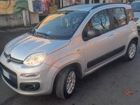 Usata Fiat Panda Lounge 69 CV (50 kW) 2020 Grigio Utilitaria