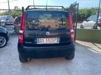 Usata Fiat Panda 60 CV (44 kW) 2008 Nero Utilitaria