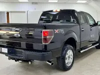 Usata Ford V8 XLT 366 CV (269 kW) 2014 Marrone SUV