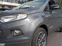 Usata Ford Ecosport Titanium S 125 CV (91 kW) 2015 Grigio SUV
