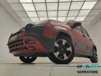 Usata Fiat Panda Cross Cross 70 CV (51 kW) 2024 Rosso Utilitaria