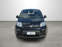 Usata Fiat Panda S 69 CV (50 kW) 2024 Nero Utilitaria