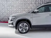 Usata Skoda Karoq Executive 116 CV (85 kW) 2023 Grigio SUV