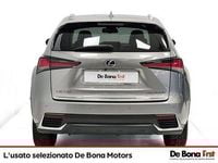 Usata Lexus NX300h 197 CV (144 kW) 2021 Grigio SUV