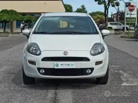 Usata Fiat Punto Lounge 77 CV (56 kW) 2013 Bianco Utilitaria