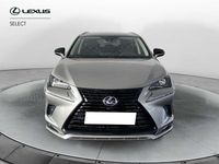 Usata Lexus NX300h 155 CV (114 kW) 2021 Other SUV