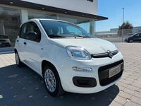 Usata Fiat Panda Easy 69 CV (50 kW) 2020 Bianco Utilitaria