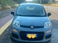 Usata Fiat Panda 69 CV (50 kW) 2017 Grigio Utilitaria