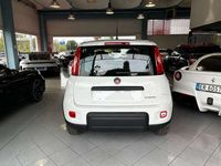 Usata Fiat Panda S 69 CV (50 kW) 2024 Bianco Utilitaria