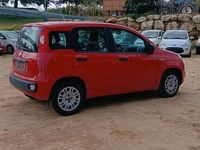 Usata Fiat Panda Lounge 69 CV (50 kW) 2019 Rosso Utilitaria