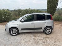 Usata Fiat Panda Lounge 69 CV (50 kW) 2017 Grigio Utilitaria