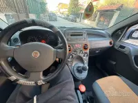 Usata Fiat Panda 60 CV (44 kW) 2009 Viola Utilitaria