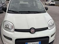 Usata Fiat Panda S 69 CV (50 kW) 2022 Utilitaria